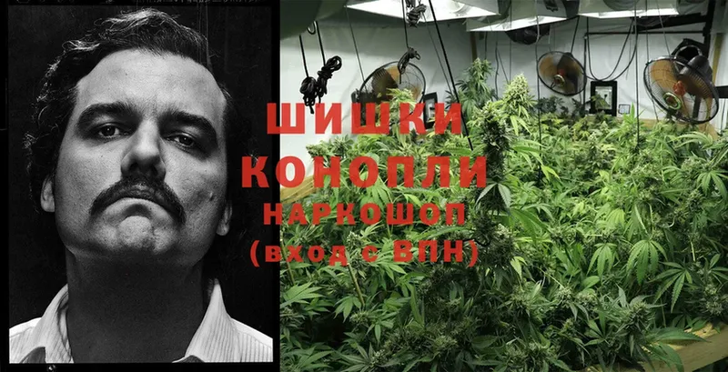 Конопля THC 21%  Усолье-Сибирское 